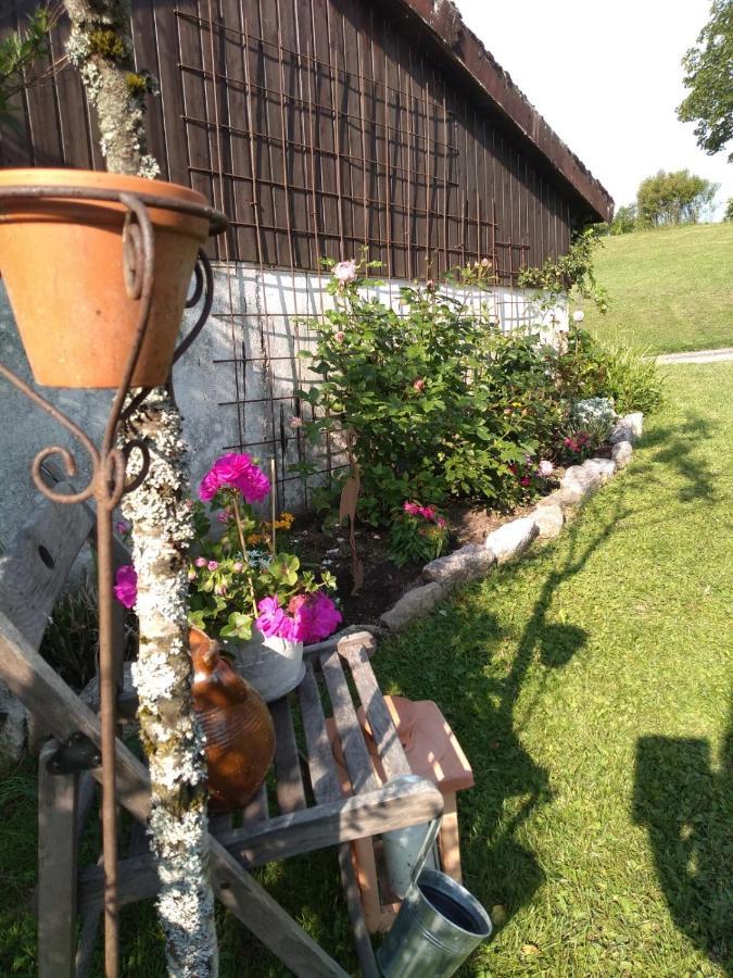 Kim'S Cottage Gorwihl Εξωτερικό φωτογραφία